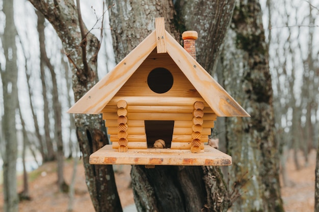 Casita para pájaros de madera Casita para pájaros en un árbol. Cuida a los animales. Manualidades con niños.