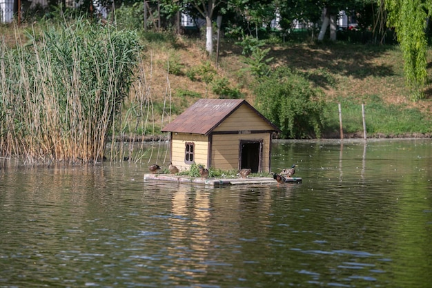 Casita para patos en medio del lago