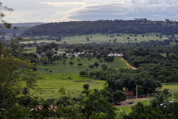 Cassilandia, Mato Grosso do Sul, Brasilien - 01 26 2021: Panorama des städtischen Friedhofs von Cassilandia am Nachmittag