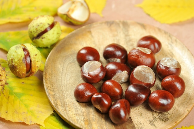 Castañas con hojas de otoño de arce