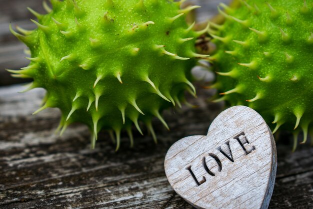 castañas en una rama sosteniendo un corazón de madera con las letras amor castañas en una rama