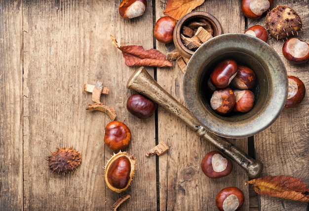 Castanha em fitoterapia