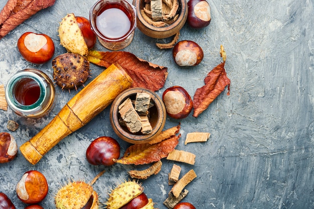 Castanha em fitoterapia