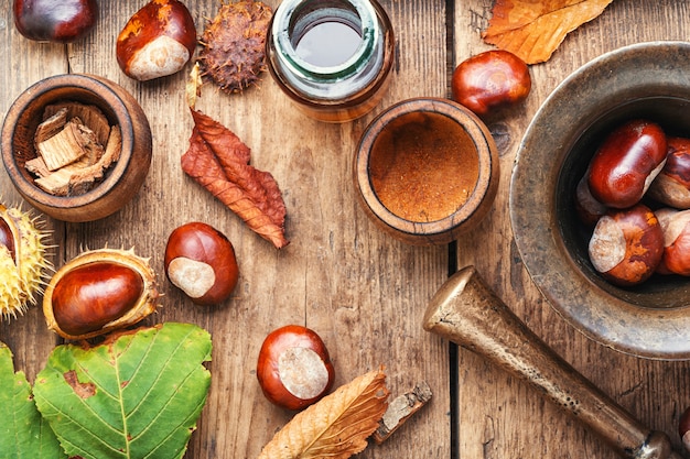 Castanha em fitoterapia