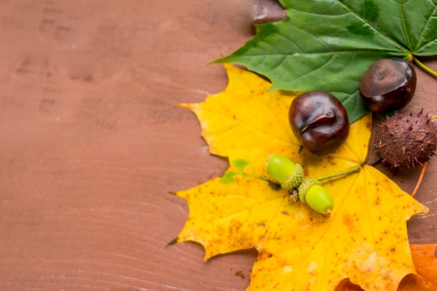 Foto castanhas, bolotas e nozes em um fundo de madeira de folhas de outono. outono ainda vida com espaço para texto.