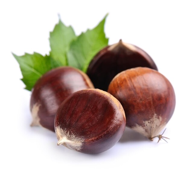 Castanhas com folhas
