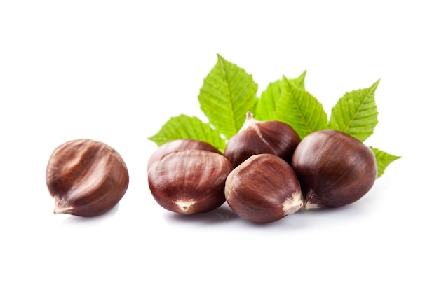 Castanhas com folhas