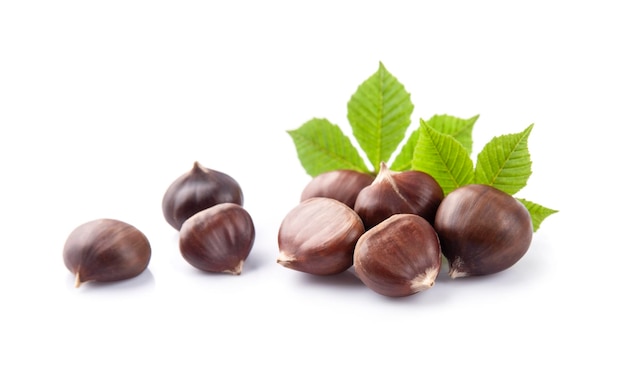 Castanhas da Índia com folhas