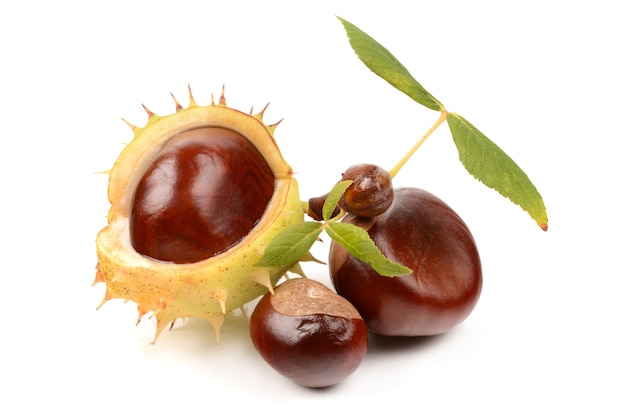 Castanhas isoladas no branco