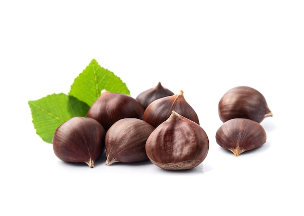 Castanhas maduras com folhas sobre um fundo branco