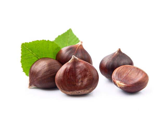 Castanhas maduras com folhas