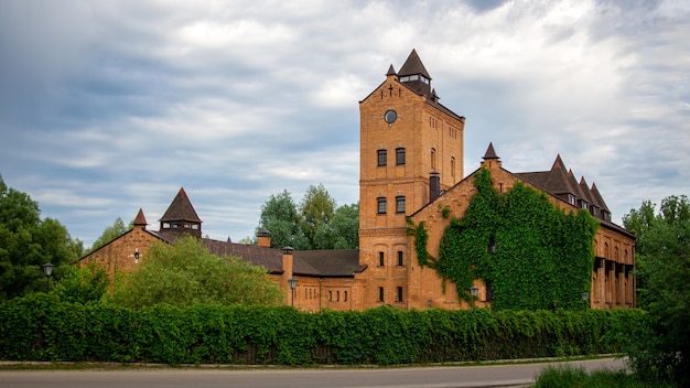 Castelo antigo com torres entre árvores verdes