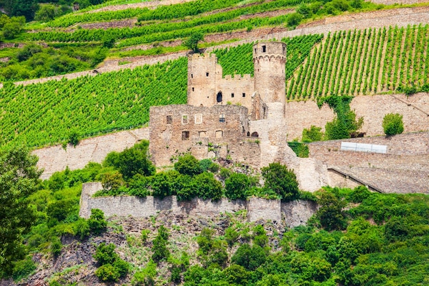 Castelo de burg ehrenfels em rudesheim