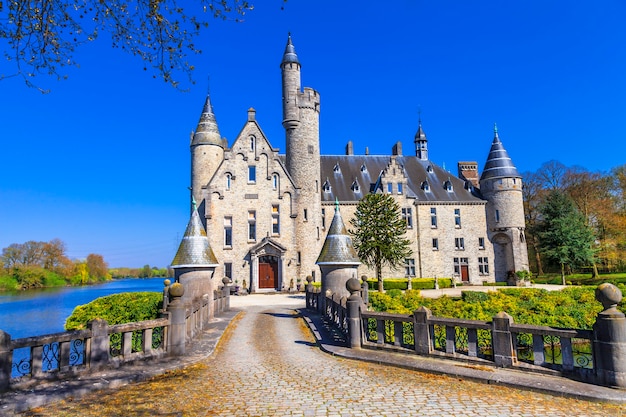 Castelo de conto de fadas. bélgica, marnix