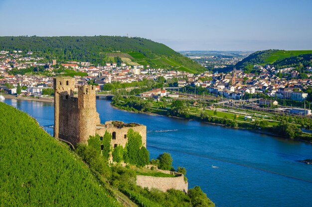 Castelo de Ehrenfels no rio Reno perto de Ruedesheim