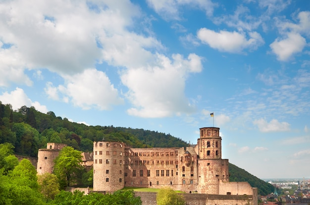 Castelo de Heidelberg foto, panorama