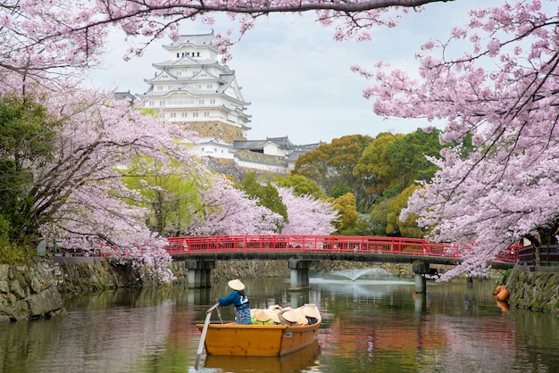 Castelo de himeji com a flor de cerejeira bonita na estação de mola em hyogo perto de osaka, japão.