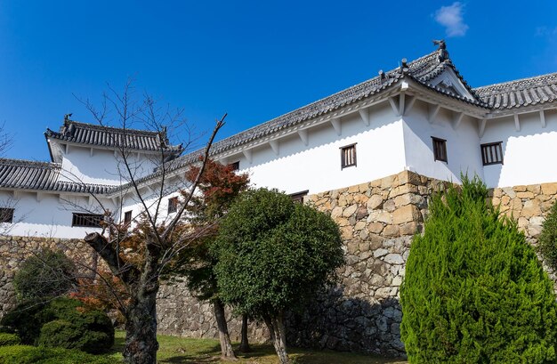 Castelo de Himeji com sol