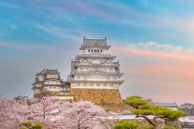 Castelo de Himeji e flor de cerejeira completa
