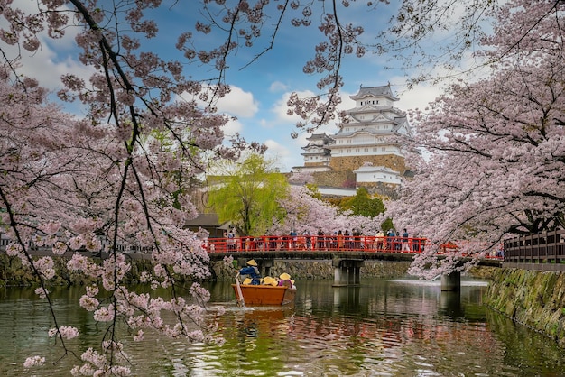 Castelo de Himeji e flor de cerejeira completa