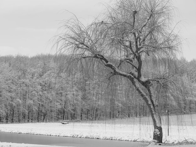 Castelo de Inverno