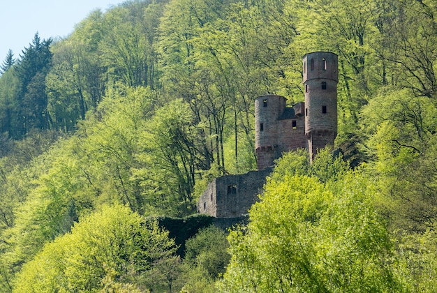 Castelo de Schwalbennest fora de Neckarsteinach