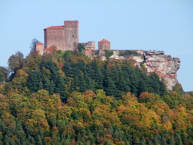 Castelo de trifels