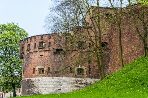 Castelo real em Wawel Cracóvia