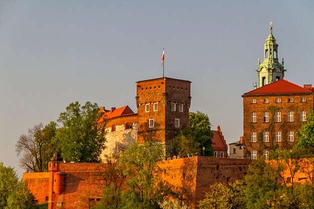 Castelo real em Wawel Krarow