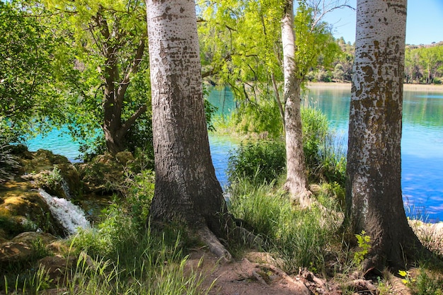 Foto castilla la mancha parque natural de las lagunas de ruidera paisagismo e entorno natural