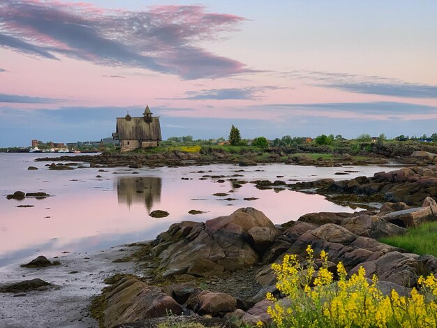 Un castillo se asienta en la orilla de un lago con flores amarillas en primer plano