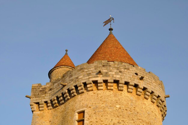 Castillo de Blandy les Tours en Seine et Marne