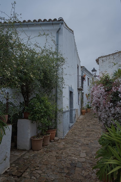 El Castillo de Castellar es una ciudad fortaleza del siglo XIII situada en Castellar de la Frontera España