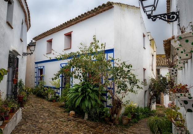 El Castillo de Castellar es una ciudad fortaleza del siglo XIII situada en Castellar de la Frontera España