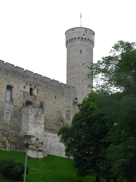 El castillo en la ciudad de Tallin Estonia