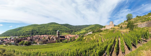 Castillo contra el telón de fondo de los viñedos en la ciudad de Kaysersberg