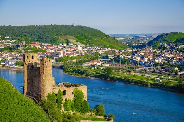 Castillo de Ehrenfels en el río Rin cerca de Ruedesheim