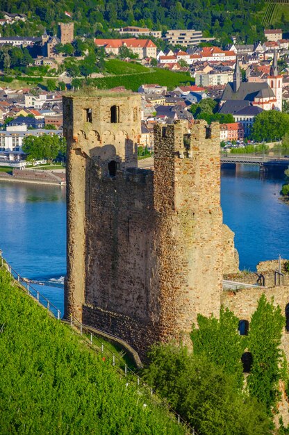 Castillo de Ehrenfels en el río Rin cerca de Ruedesheim