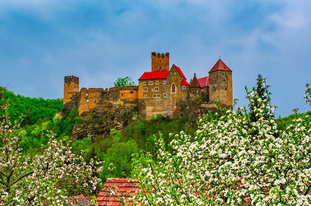 Castillo de Hardegg en el valle de Thayatal - Baja Austria en primavera.