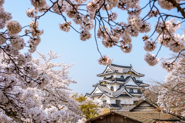 Castillo de Hikone