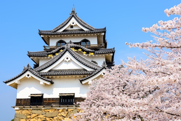 Castillo de Hikone