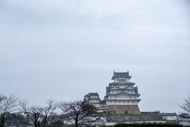 Castillo de Himeji con cielo nublado en invierno