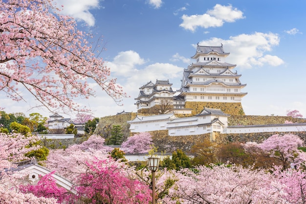 Foto castillo de himeji japón en la temporada de primavera