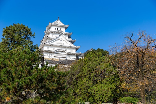 Castillo de Himeji en otoño en Japón