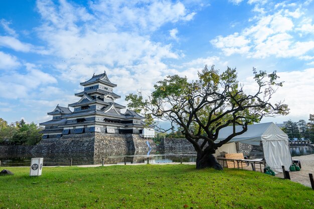 Castillo japonés en un paisaje natural.