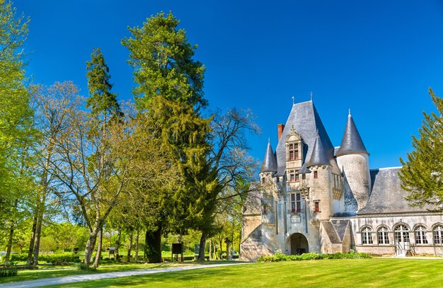 Castillo de Javarzay en Chef Boutonne France