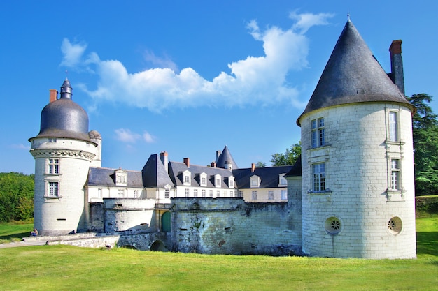 Castillo medieval de le Gue-pean