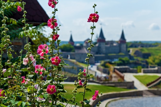 Foto el castillo medieval de kamianetspodilskyi con muros de piedra y torres está rodeado de zonas verdes.