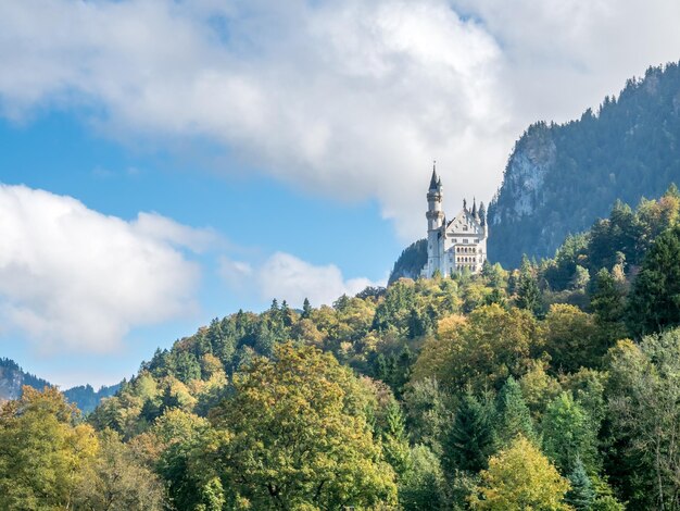 Castillo de Neuschwanstein en Alemania en vista de la colina