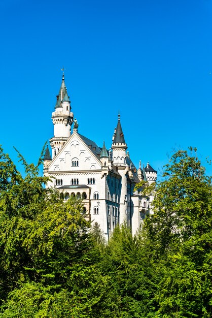 Castillo de Neuschwanstein en una colina en los Alpes bávaros, Alemania